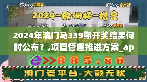 2024年澳门马339期开奖结果何时公布?,项目管理推进方案_app91.918-5