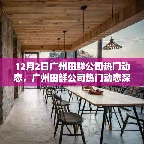广州田鲜公司最新动态深度解析,产品特性、用户体验与目标用户群体探讨