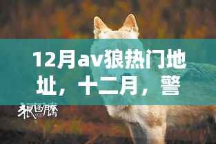 关于涉黄问题的深度解析,警惕网络陷阱,揭露十二月AV狼热门地址的危害与应对方法。