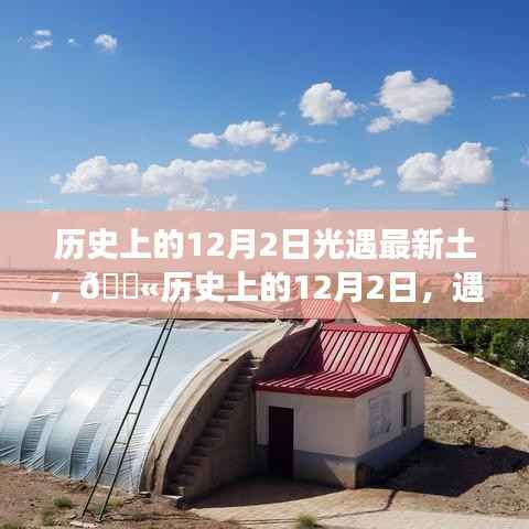 历史上的12月2日科技之光,探索最新高科技产品光遇最新土之旅