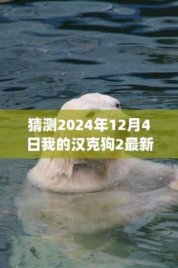 汉克狗2最新版体验之旅,玩转游戏巅峰境界的预测与畅想(2024年12月4日)