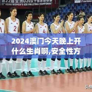 2024澳门今天晚上开什么生肖啊,安全性方案设计_AP34.563-4