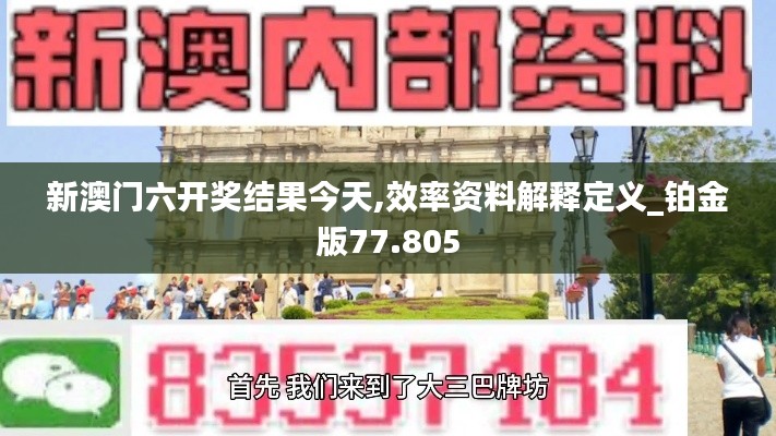 新澳门六开奖结果今天,效率资料解释定义_铂金版77.805