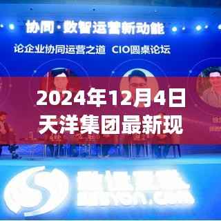 天洋集团揭秘,数字化时代的蓬勃发展之路(最新现状报告)