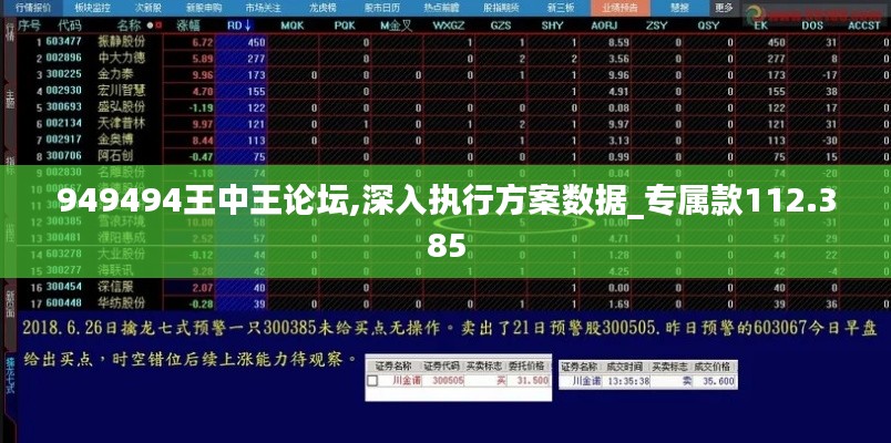949494王中王论坛,深入执行方案数据_专属款112.385