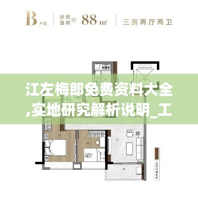 江左梅郎免费资料大全,实地研究解析说明_工具版90.361