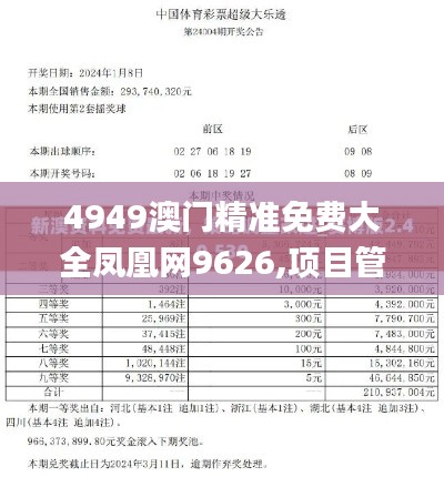 4949澳门精准免费大全凤凰网9626,项目管理推进方案_精英款67.756