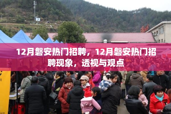 12月磐安热门招聘现象深度透视与观点分享