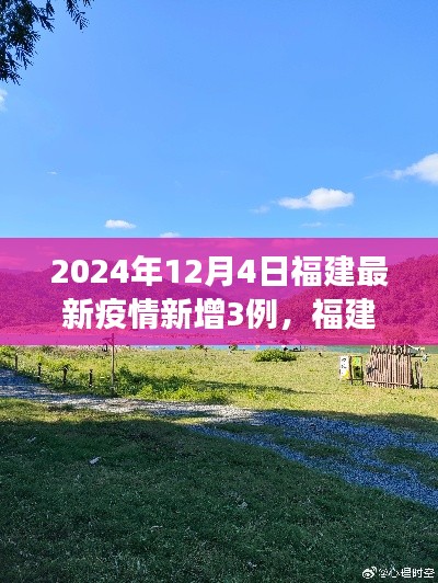 福建疫情最新动态,自然疗愈与心灵探险之旅的暂停与前行