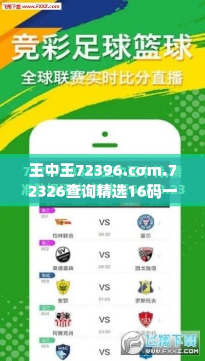 王中王72396.cσm.72326查询精选16码一,高效评估方法_苹果版64.956