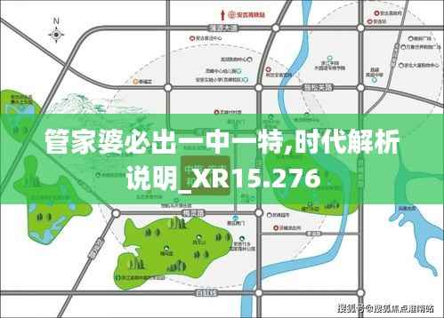 管家婆必出一中一特,时代解析说明_XR15.276