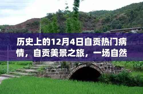 自贡美景之旅,历史疫情下的心灵洗礼与探寻内心宁静的喜悦之旅