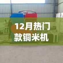 揭秘铜米机,技术解析与十二月热门之选的应用前景展望
