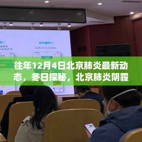 北京肺炎阴霾下的冬日探秘之旅,自然美景与内心宁静的寻找