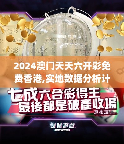 2024澳门天天六开彩免费香港,实地数据分析计划_Prime3.515