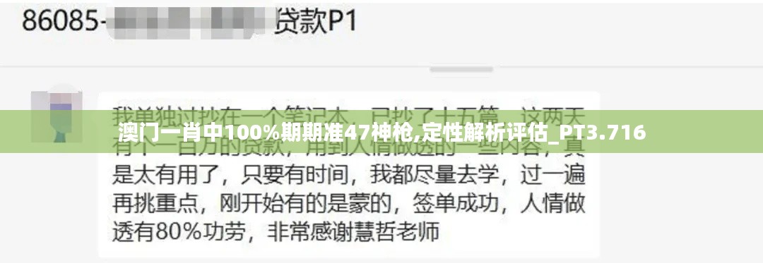 澳门一肖中100%期期准47神枪,定性解析评估_PT3.716