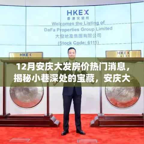 揭秘安庆大发房价新动态,小巷深处的宝藏与独特小店故事