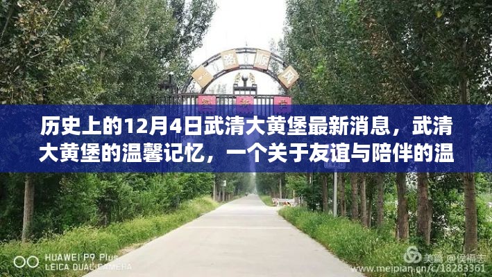 武清大黄堡的友谊与陪伴,历史最新消息与温馨记忆回顾