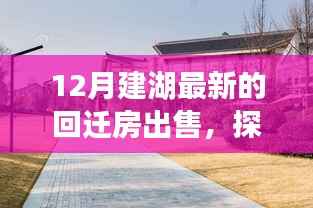 探秘建湖小巷深处的回迁房奇迹,12月最新出售房源与独特环境赏析
