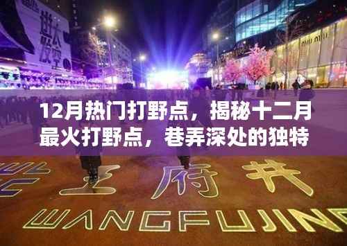 揭秘十二月最火打野点,巷弄深处独特风味小店的秘密探访