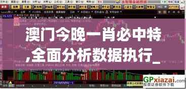 澳门今晚一肖必中特,全面分析数据执行_尊贵款4.122