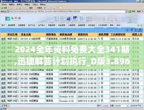 2024全年资料免费大全341期,迅捷解答计划执行_D版3.896