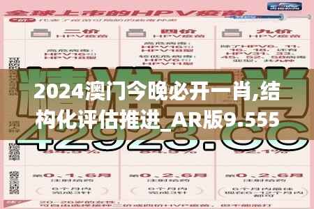 2024澳门今晚必开一肖,结构化评估推进_AR版9.555
