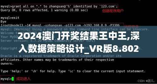2O24澳门开奖结果王中王,深入数据策略设计_VR版8.802