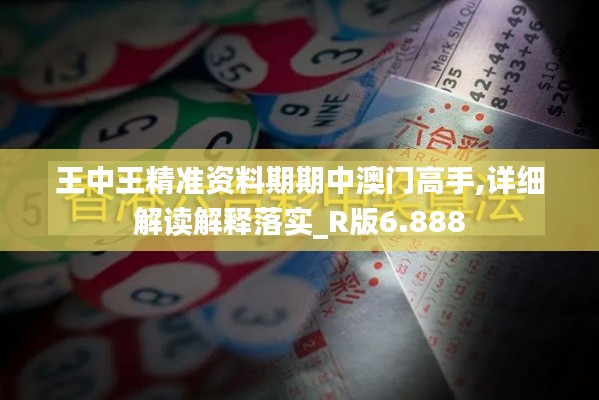 王中王精准资料期期中澳门高手,详细解读解释落实_R版6.888