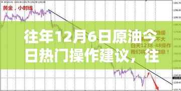 往年12月6日原油操作建议,深度评测、特性分析、用户体验与对比及用户群体洞察