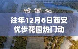 揭秘,西安优步花园历年12月6日热门动态回顾