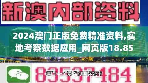 2024澳门正版免费精准资料,实地考察数据应用_网页版18.859