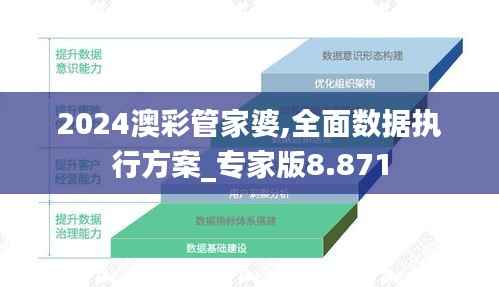 2024澳彩管家婆,全面数据执行方案_专家版8.871