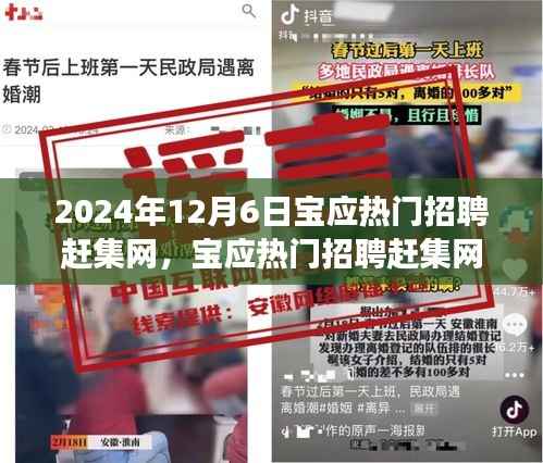 2024年宝应热门招聘赶集网,最新招聘市场趋势与动态