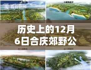 历史上的合庆郊野公园,透过时间的镜头看十二月六日的最新动态与回顾