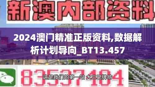 2024澳门精准正版资料,数据解析计划导向_BT13.457