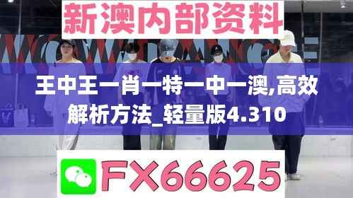 王中王一肖一特一中一澳,高效解析方法_轻量版4.310