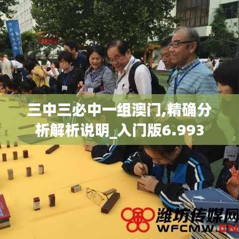 三中三必中一组澳门,精确分析解析说明_入门版6.993