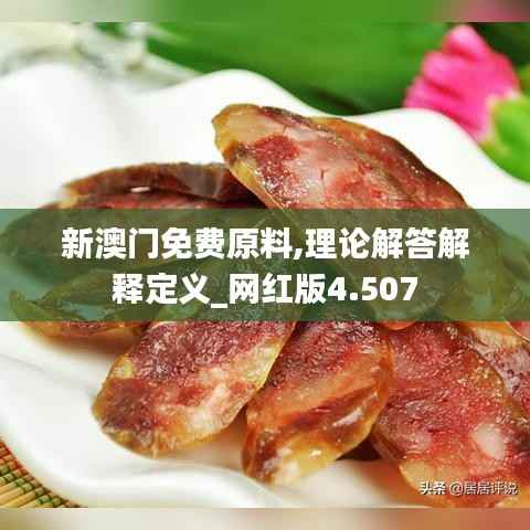 新澳门免费原料,理论解答解释定义_网红版4.507