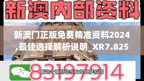 新澳门正版免费精准资料2024,最佳选择解析说明_XR7.825