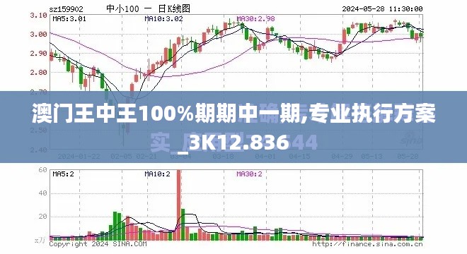澳门王中王100%期期中一期,专业执行方案_3K12.836