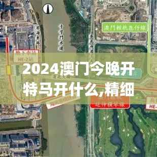 2024澳门今晚开特马开什么,精细设计解析_定制版1.308
