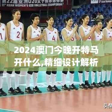 2024澳门今晚开特马开什么,精细设计解析_定制版1.308