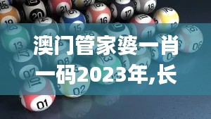 澳门管家婆一肖一码2023年,长期性计划定义分析_进阶版2.650
