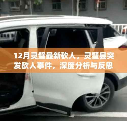 灵璧县突发砍人事件,深度分析与反思