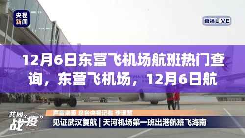 12月6日东营飞机场航班启航,探寻自然美景之旅,心灵平和宁静之旅的开始