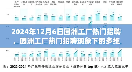 园洲工厂热门招聘现象,多维度视角下的深度解析与探讨(2024年)