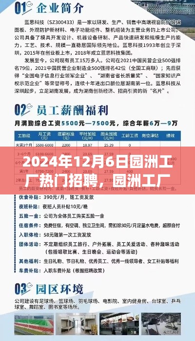 园洲工厂热门招聘现象,多维度视角下的深度解析与探讨(2024年)