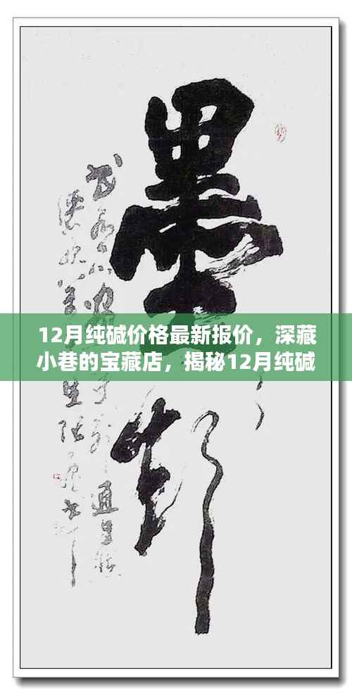12月纯碱价格最新报价揭秘,小巷宝藏店的独特魅力