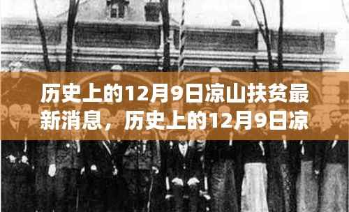 历史上的12月9日凉山扶贫动态大揭秘,最新消息与全面解读